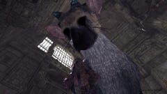 The Last Guardian walkthrough part 2: through the first chamber, trapped  Trico, mineshaft and into the forest