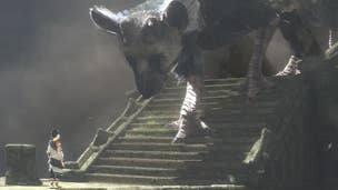 Image for The Last Guardian progressing under "new conditions"