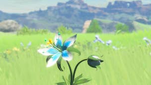 The Legend of Zelda: Breath of the Wild Korok Seeds locations video guide - Great Plateau