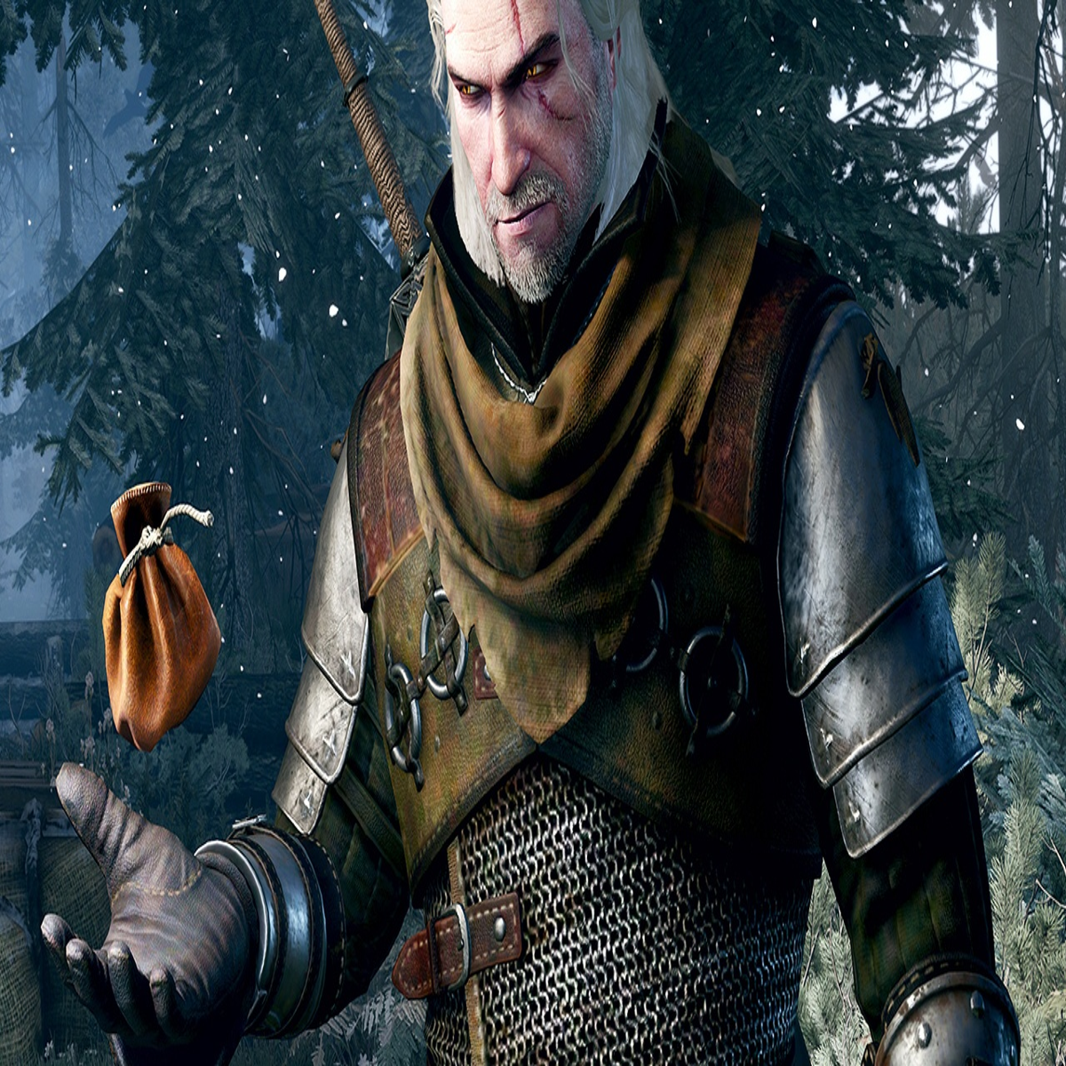 The Witcher Games - Giant Bomb