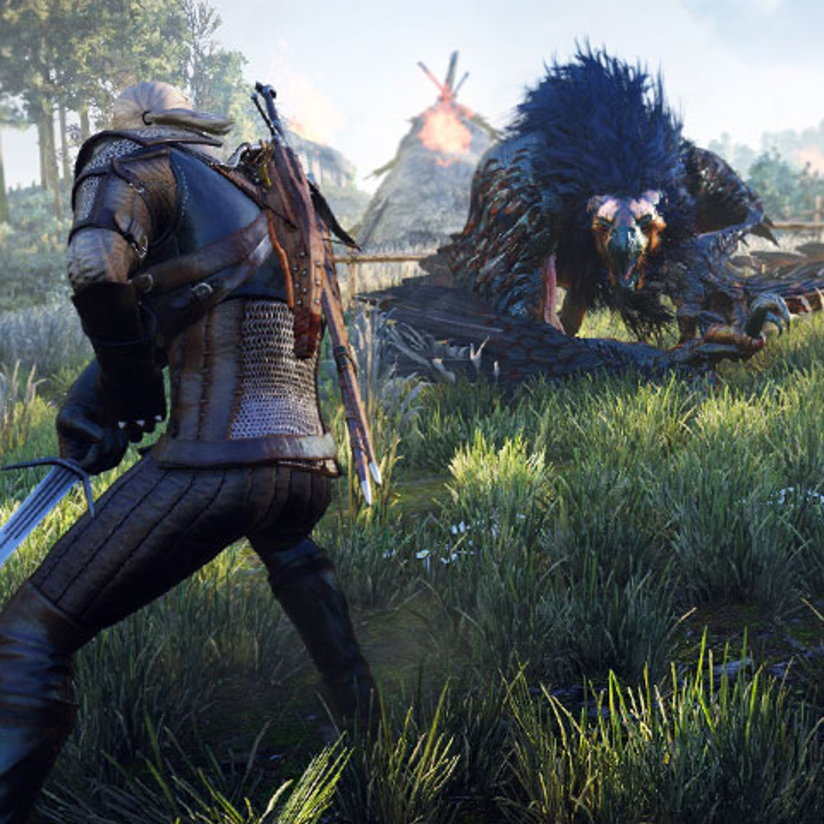 Small Problems quest? :: The Witcher: Enhanced Edition General