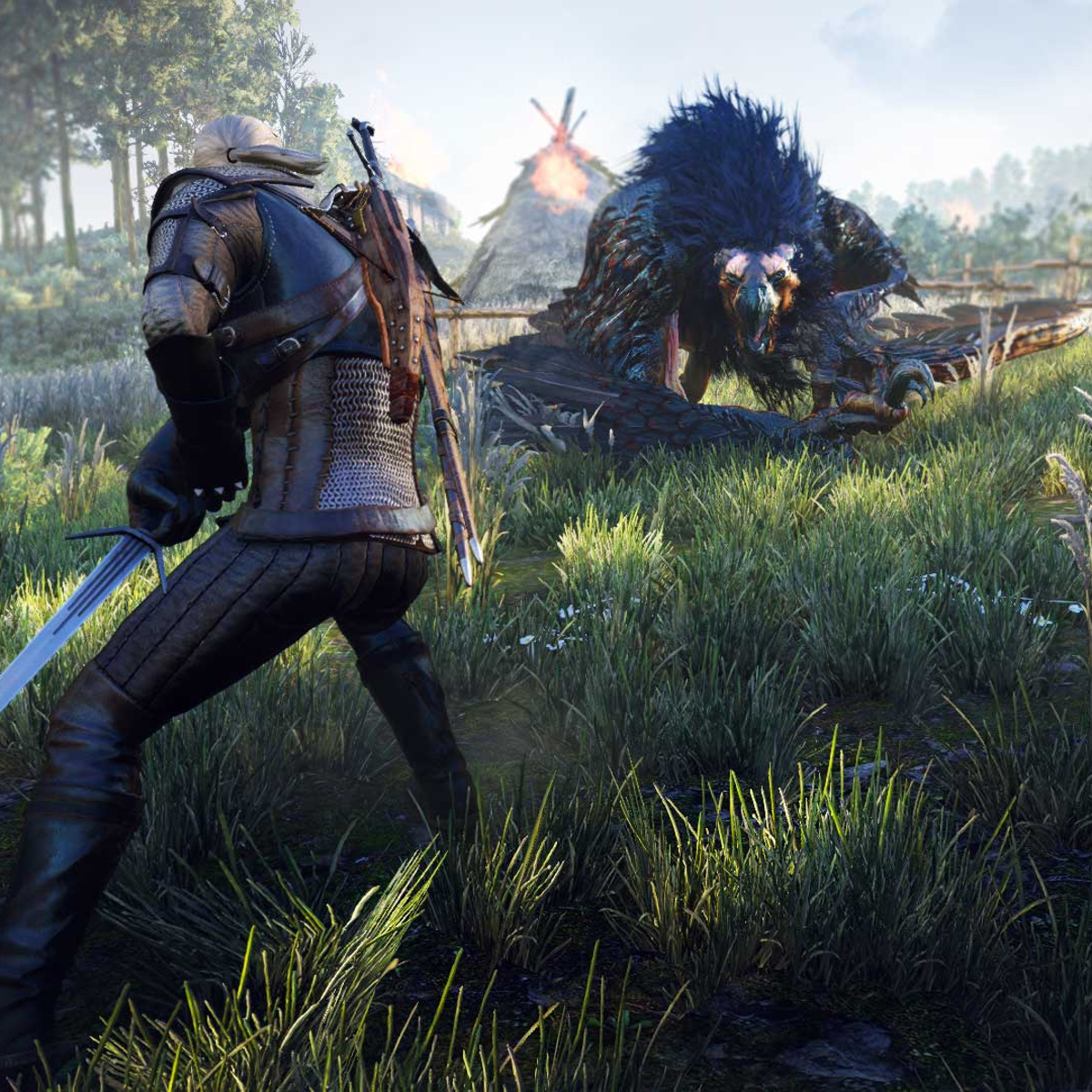 The Witcher Wild Hunt Video Game Sony PS4