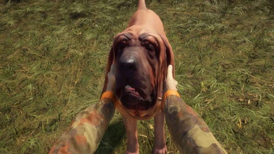 Petting a dog in TheHunter: Call Of The Wild's Bloodhound DLC.