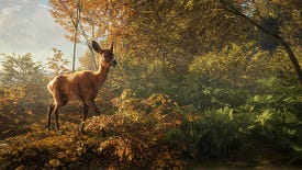 TheHunter: Call Of The Wild has gorgeous scenery
