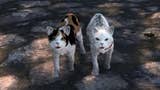 This Skyrim mod lets you adopt cats - if you can convince them