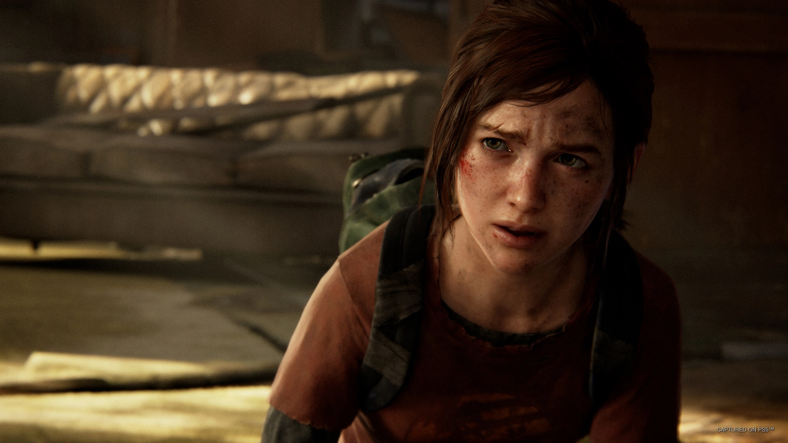 The Last of Us Part I : Naughty Dog : Free Download, Borrow, and Streaming  : Internet Archive