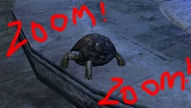 Path Of Exile Teases New Pets, Tortoise OP Speed Demon