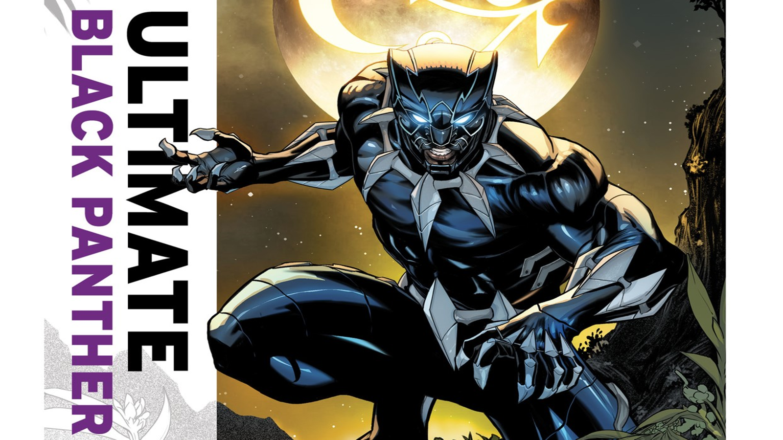 Marvel's Black Panther: The Official Movie Special Book