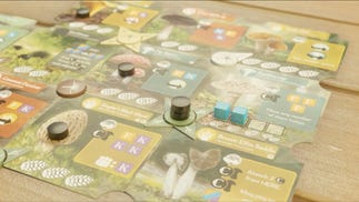 Digital board spill of Undergrove, a new board game by Elizabeth Hargrave and Mark Wootton