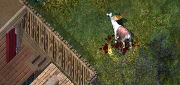 Image for The Worst Ninja, Chapter 2: Shoes