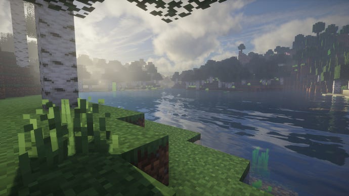 A close-up of some grass and a birch tree beside a river in Minecraft.