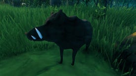 A Valheim screenshot of a Boar standing in a Meadows biome.
