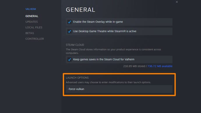 Una captura de pantalla de la ventana de propiedades de Steam para Valheim, con el campo de entrada de opciones de lanzamiento resaltado