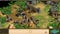Age of Empires II HD screenshot