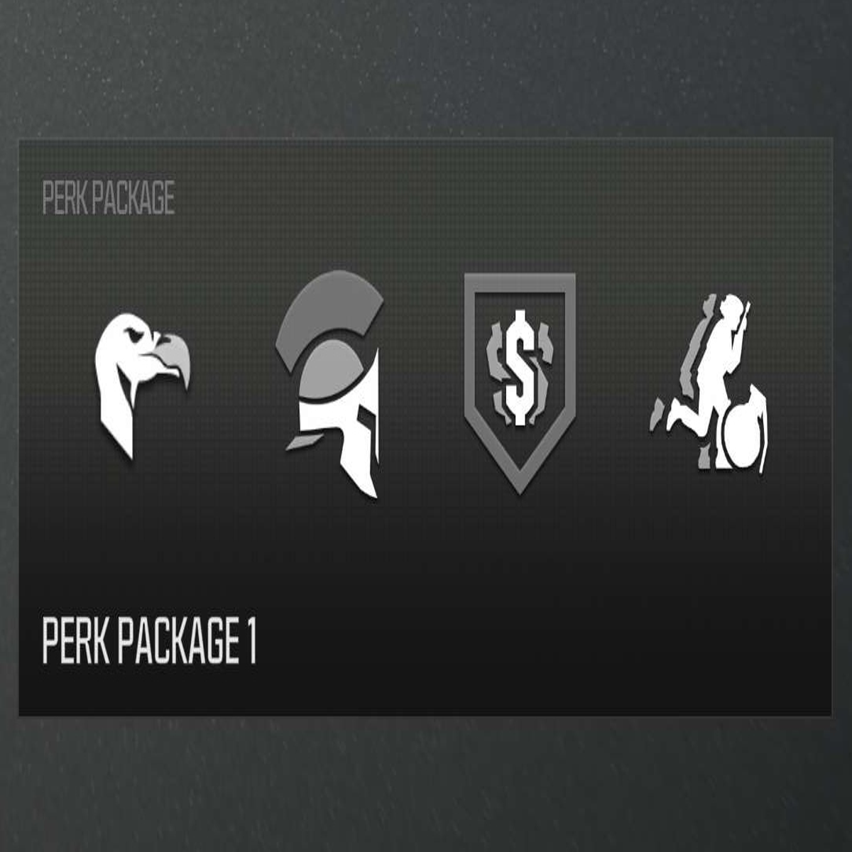 Is it just me, or does anyone else absolutely never put perks into