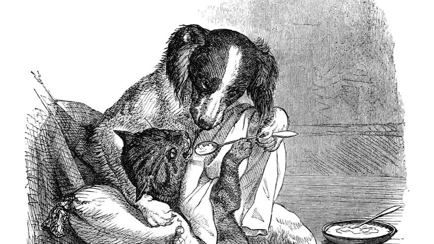 A black and white illustration of a dog - a spaniel - feeding a tabby cat with a spoon.