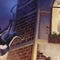 Artwork de Sly Cooper: Thieves in Time