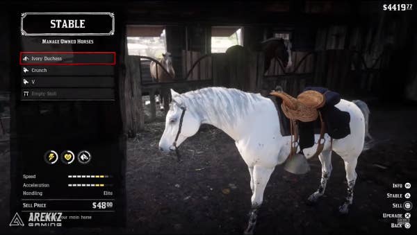 Red Dead Redemption 2 - Onde encontrar e como domar o melhor cavalo do jogo