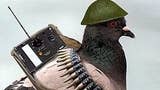 Why Battlefield 1 fans are in a flap about a pigeon mode