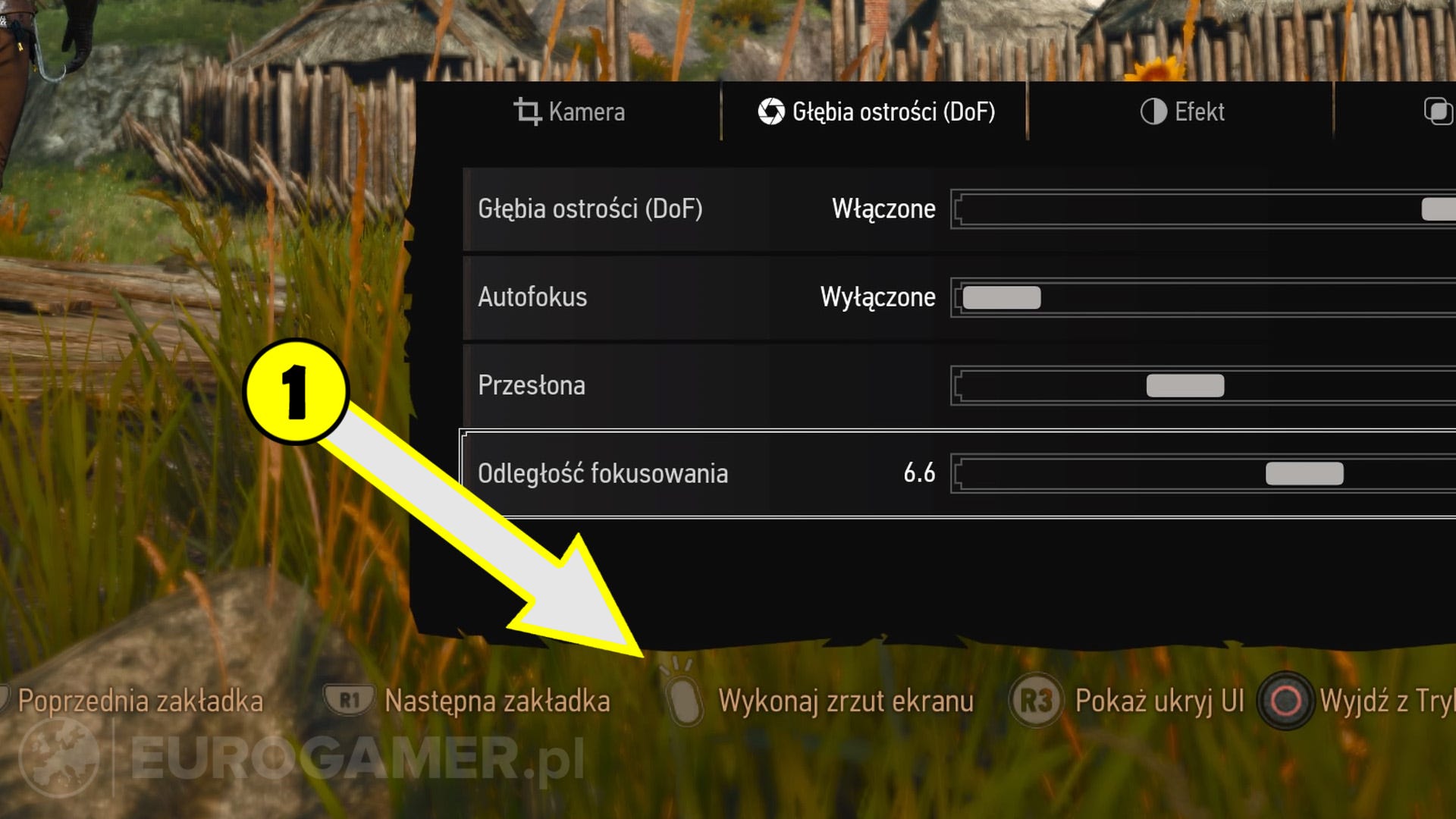 Wiedźmin 3 next-gen - tryb fotograficzny: jak zrobić zdjęcie | Eurogamer.pl