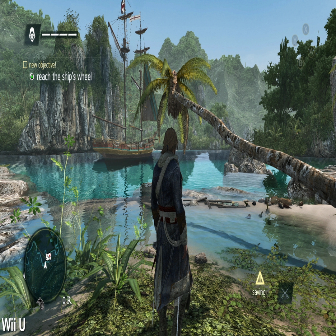  Assassin's Creed IV: Black Flag (Nintendo Wii U) : Video Games