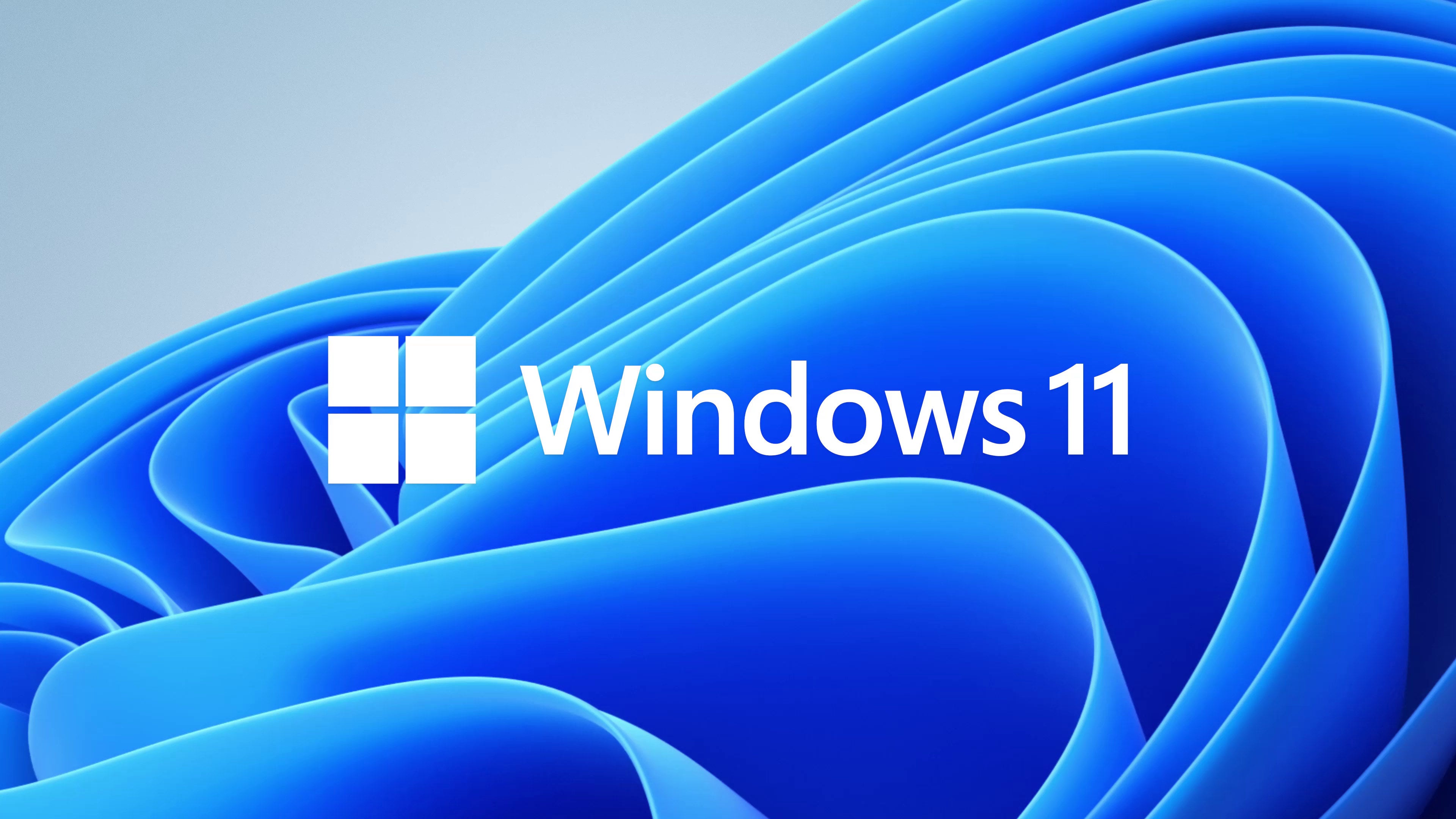 Microsoft Windows 11 Home OEM 64-Bit DVD | PLE Computers