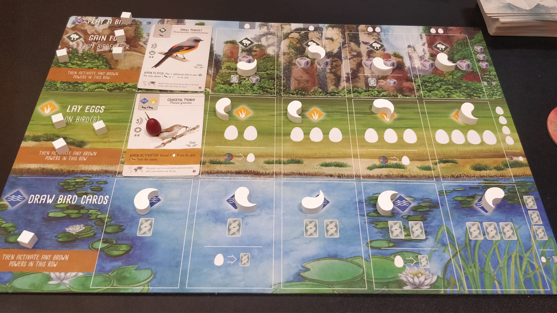 Wingspan’s twoplayer version intensifies the original game Essen