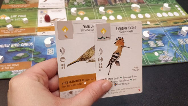 Some cards from Wingspan Asia