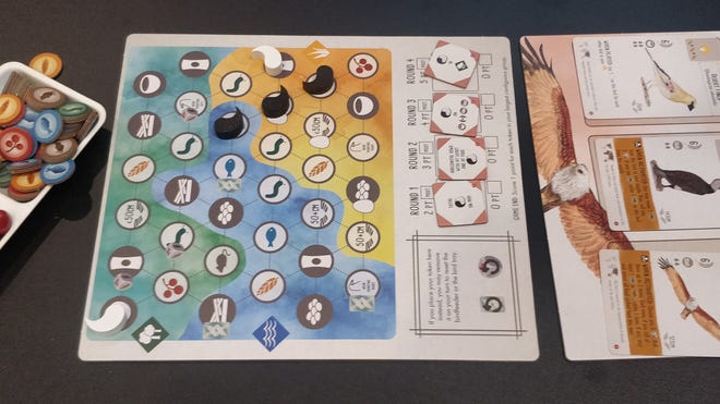 The shared board from Wingspan Asia