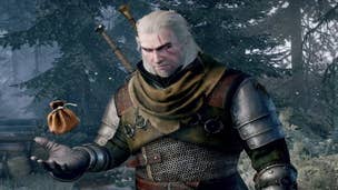 The Witcher 3 Albedo: A man with silver hair and a silver beard is standing in front of some fir trees. He wears plate armor and is tossing a small brown satchel into the air