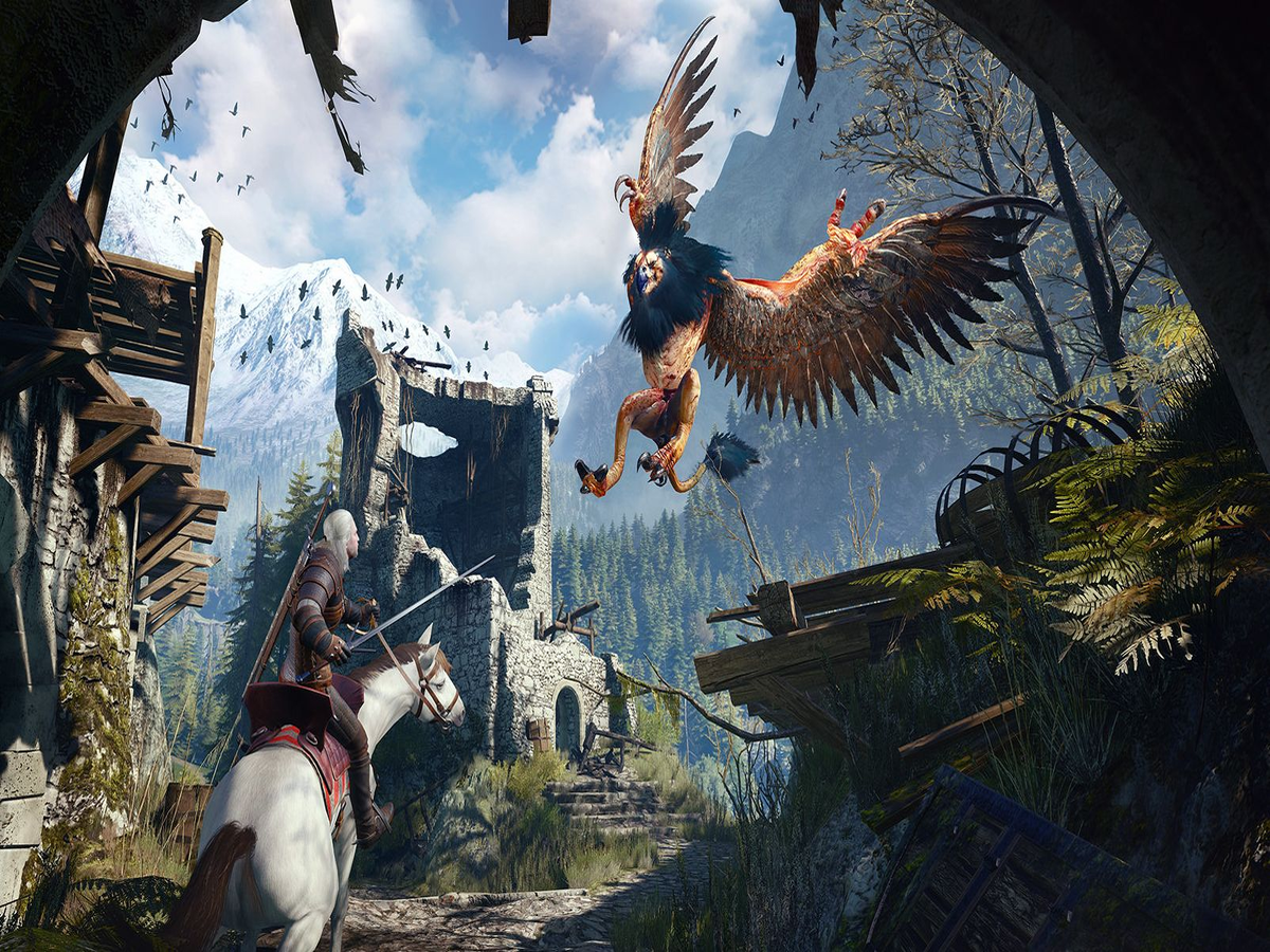 The witcher 3 store фото 81