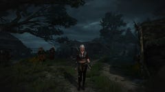 The Witcher 3 simulate save: Should you simulate a Witcher 2 save in The  Witcher 3?
