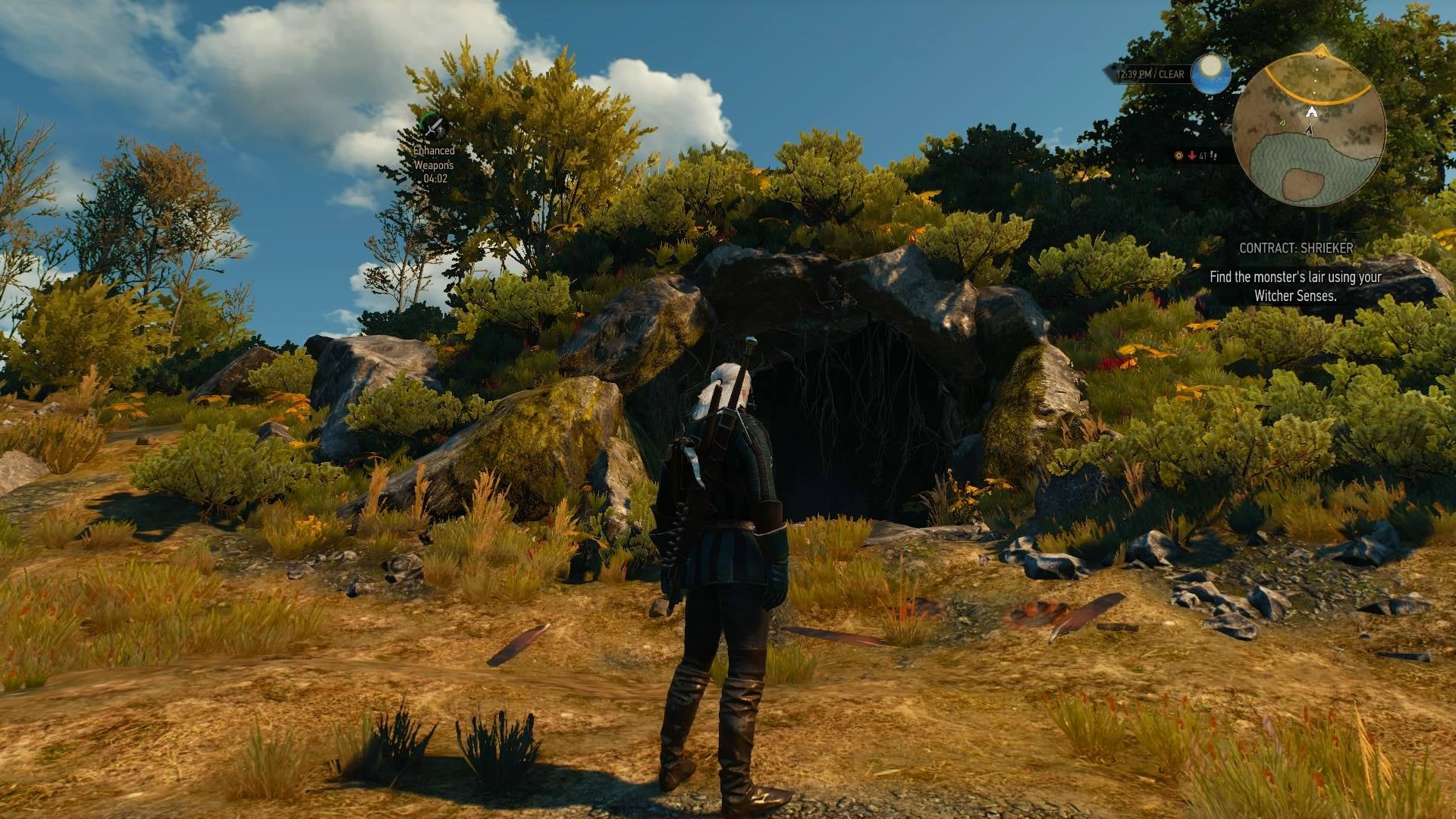 the-witcher-3-shrieker-contract-vg247