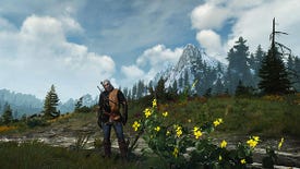 The joy of The Witcher 3's great outdoors