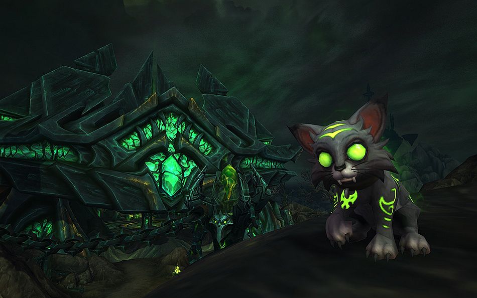 This year's World of Warcraft charity pet is an adorable Fel Kitty ...