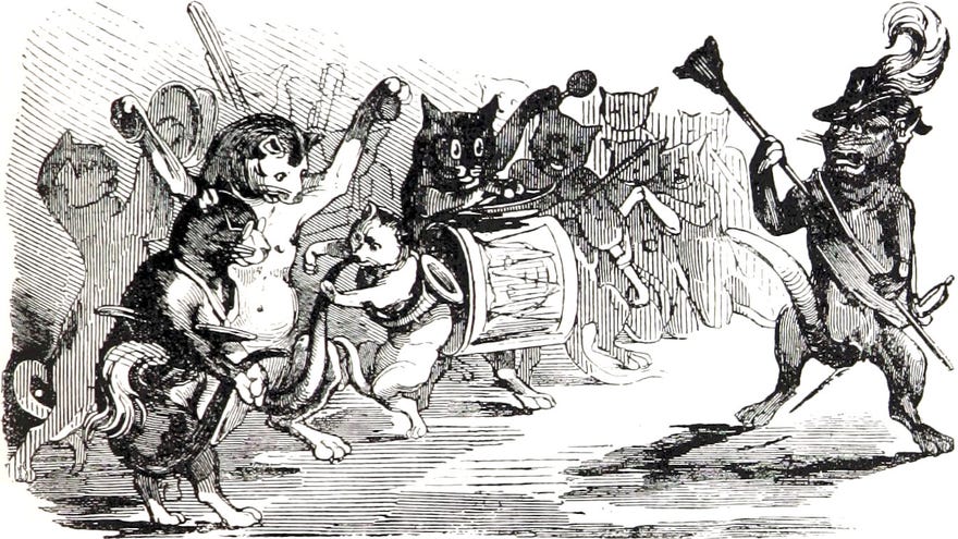 A band of cats playing musical instruments in an illustration from 'Na úsvitě nové doby.'