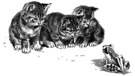 An illustration of three cautious yet curious tabby kittens watching a frog.