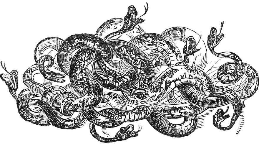 Roiling snakes in an illustration from 'The pilgrim's progress from this world to that which is to come, delivered under the similitude of a dream'