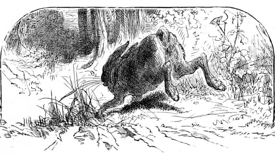 A hare scampers away in an illustration from 'Woodland Romances; or, Fables and Fancies'.