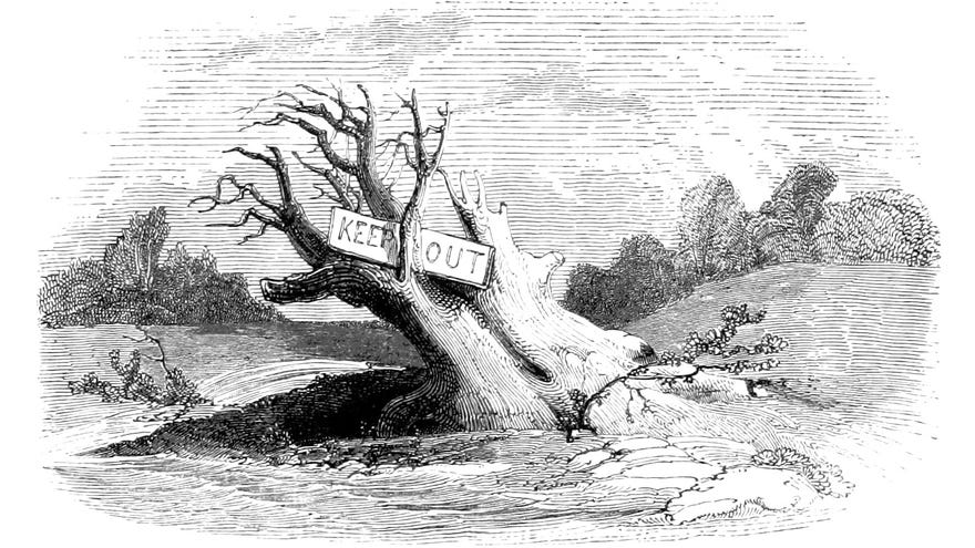 An illustration of a barren old tree with a big 'KEEP OUT' sign held in the branches.