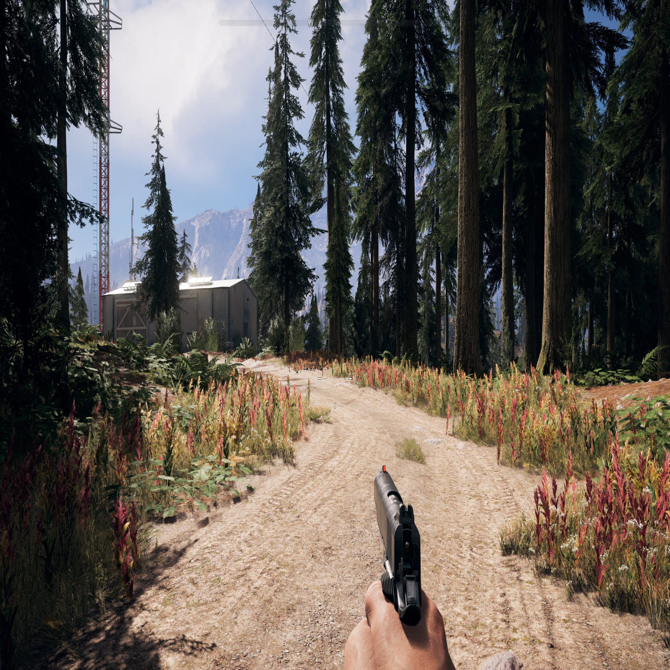 Far Cry 5 Xbox One vs. PS4 Comparison: Which One Looks the