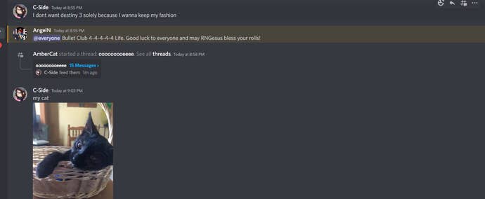 Cat picks and friendly goodbyes are some of the more heart-warming send-off messages currently viewable in the Xur Instances Discord server.