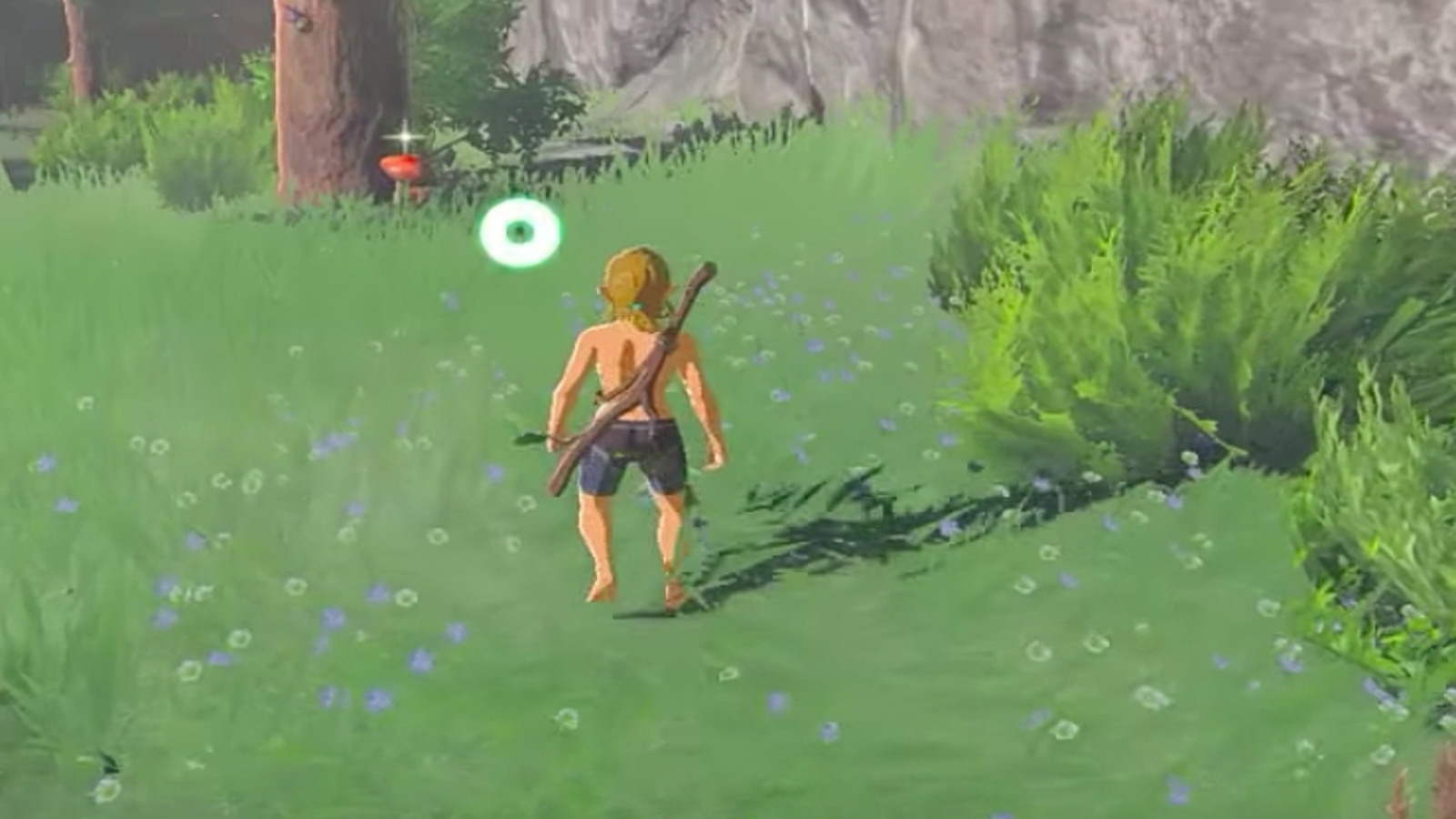 Follow the Sheikah Slate - The Legend of Zelda: Breath of the Wild