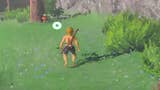 Zelda: Breath of the Wild glitch lets you play without the Sheikah Slate or night cycle