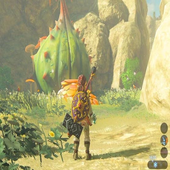 Zelda Breath of the Wild guide: How to find and upgrade the