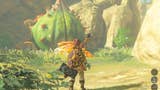 Zelda: Breath of the Wild - localização das Great Fairy Fountains e como melhorar o teu equipamento