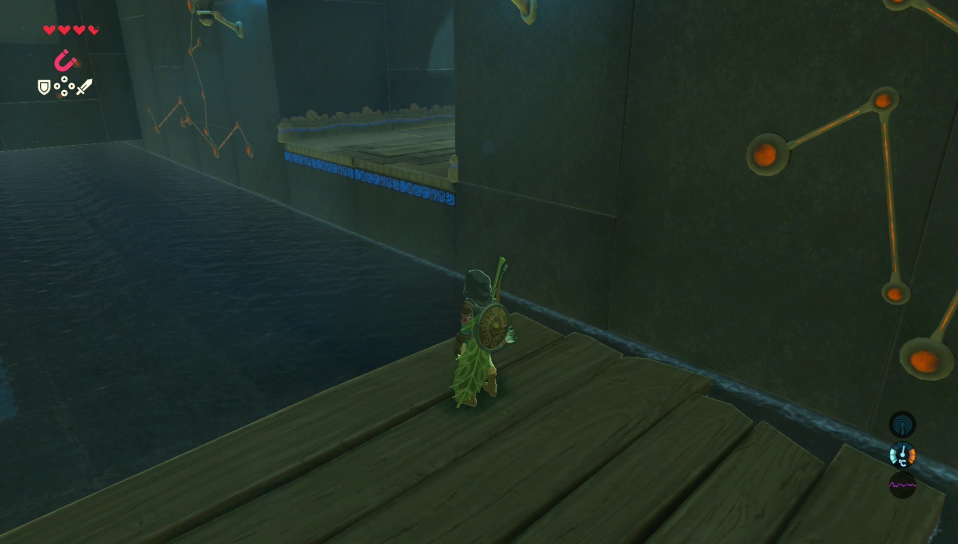 Breath Of The Wild Flowers Shrine Best Flower Site