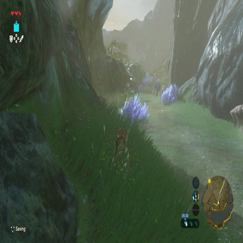 Zelda: Breath of the Wild walkthrough - Reaching Zora's Domain
