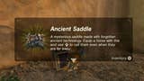 Zelda - EX Ancient Horse Rumors: How to get the Ancient Bridle and Ancient Saddle