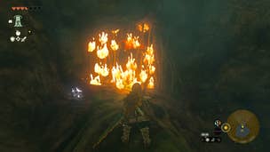 Link burning vines inside the Ancient Tree Stump Cave in Zelda: Tears of the Kingdom